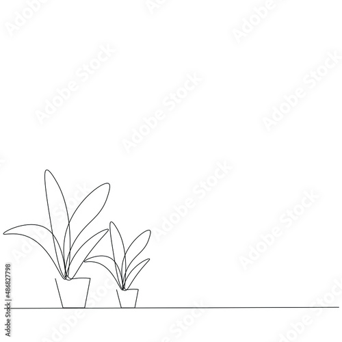 Fototapeta Naklejka Na Ścianę i Meble -  Plants line drawing on white background vector illustration