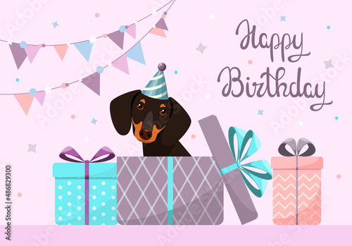 A greeting card with a cute dachshund. Happy Birthday. Cartoon design.