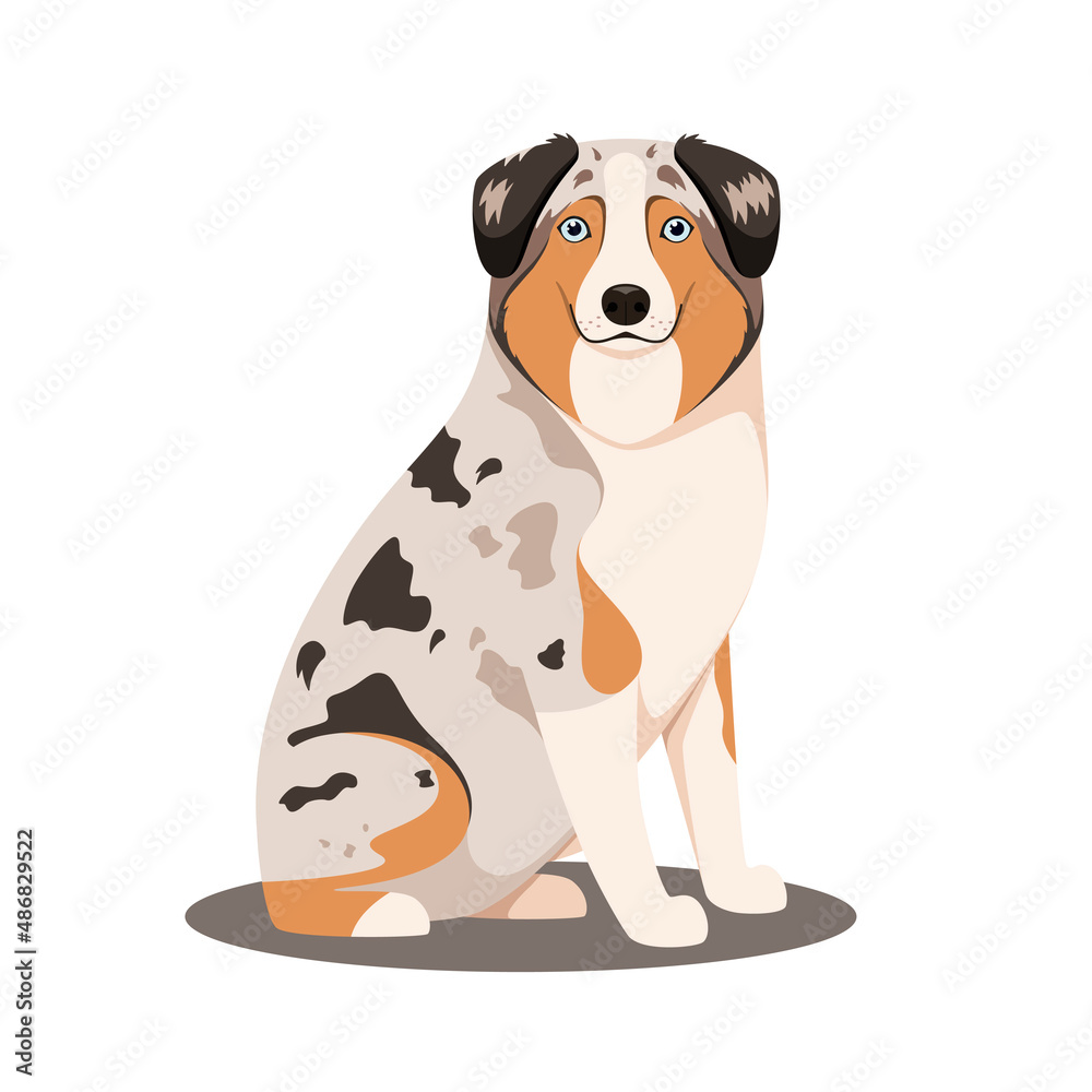Fototapeta premium Australian Shepherd on a white background. Cartoon design. 