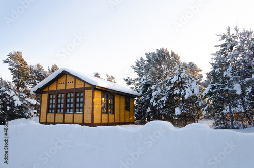 A small country house in the middle of a pine forest, covered with snow.