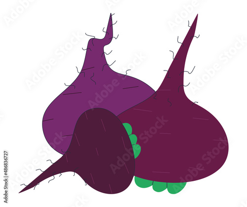 Beetroot vegetable. Hand drawn in vintage style. Flat vector illustration. EPS10