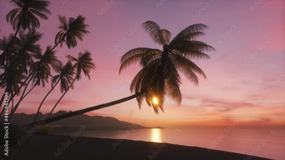 Beautiful sunset with palm tree on the ocean beach. Tropical sunset with palm trees silhouette. The big palm tree over the sea, amazing beach sunset. The sun peeks through palm leaves