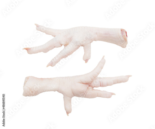 Chicken paws on a white background.