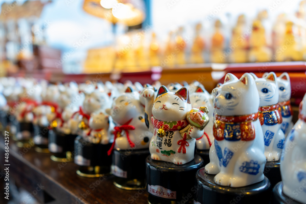 cat souvenir shop in japan