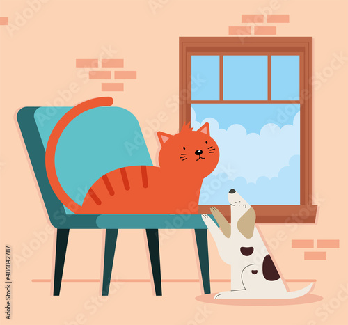 cat and dog
