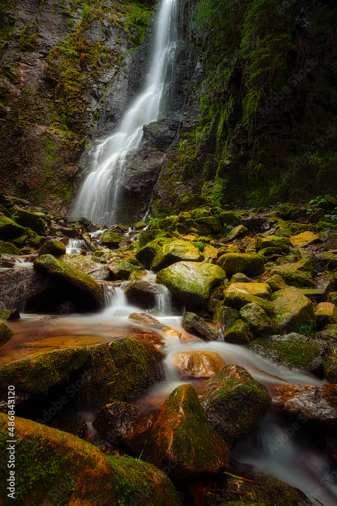 Obraz premium waterfall in the forest