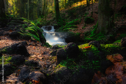 waterfall in the forest