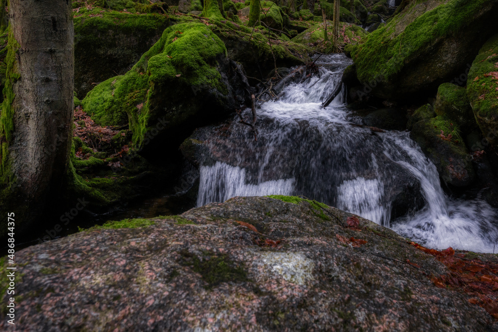Fototapeta premium waterfall in the forest