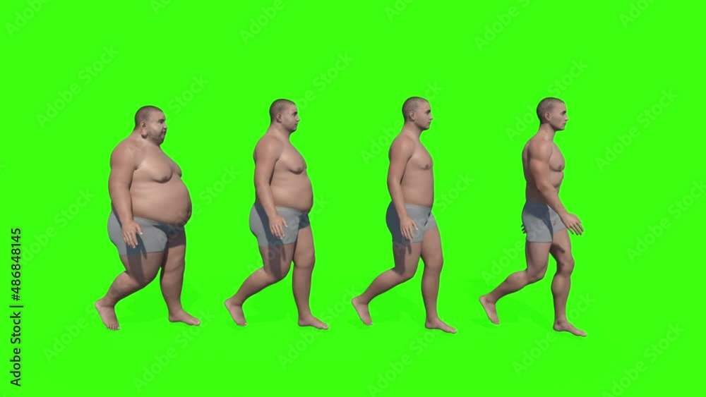 gradation of male bodies from thin to full, animation, green screen gradation of male bodies from thin to full, animation, green screen