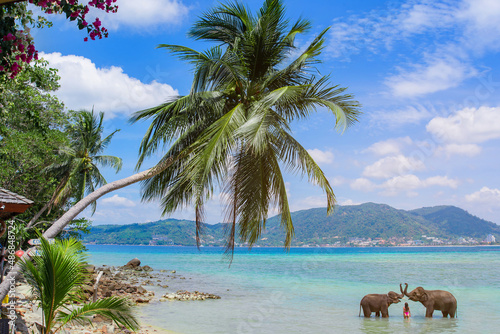 Happy woman enjoy a summer vacation on tropical island, playing with elephant in the ocean water on background green palm trees and blue sky
