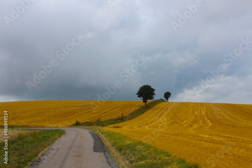 landscape with road and clouds