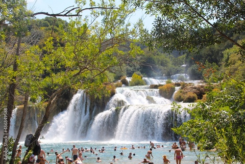 waterfall in the forest