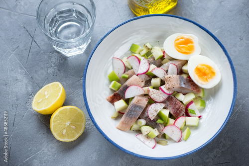 Salad with herring  apple and radish served in a white plate on a grey concrete background  elevated view  horizontal shot