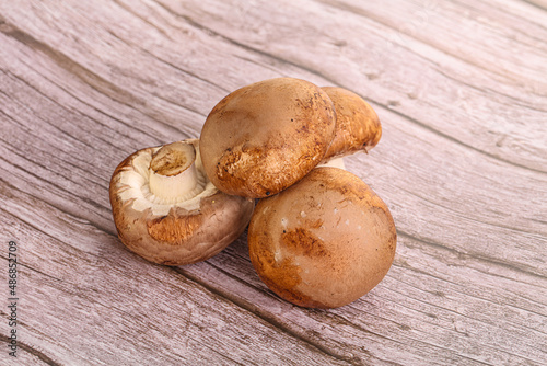 Raw brown champignons mushroom heap