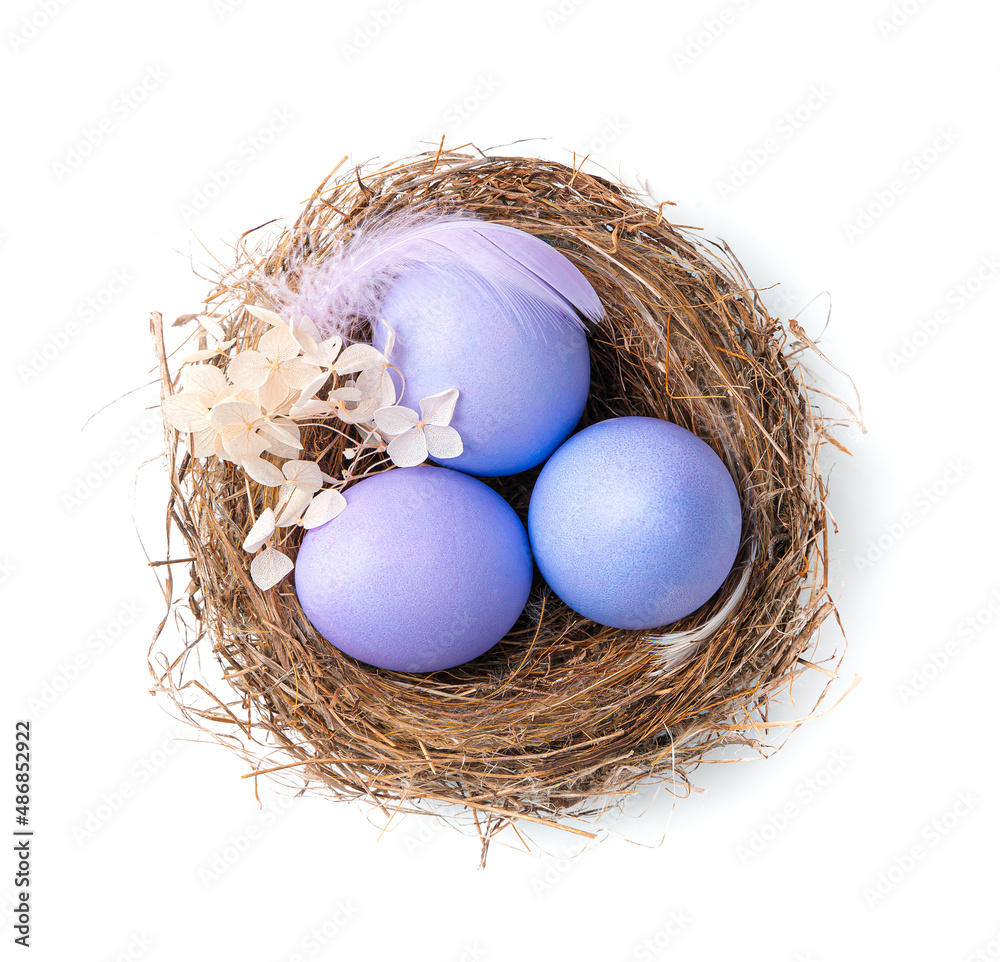Obraz premium Three purple eggs in a nest with a feather and flowers isolated on a white background.