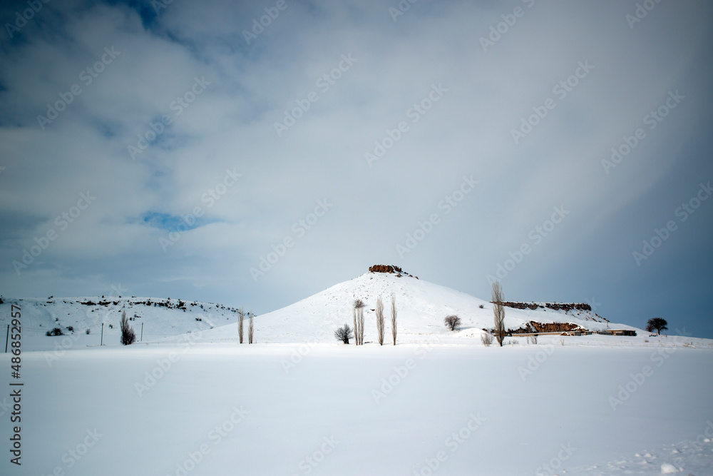 Obraz premium View of blue sky and trees on a cold winter day