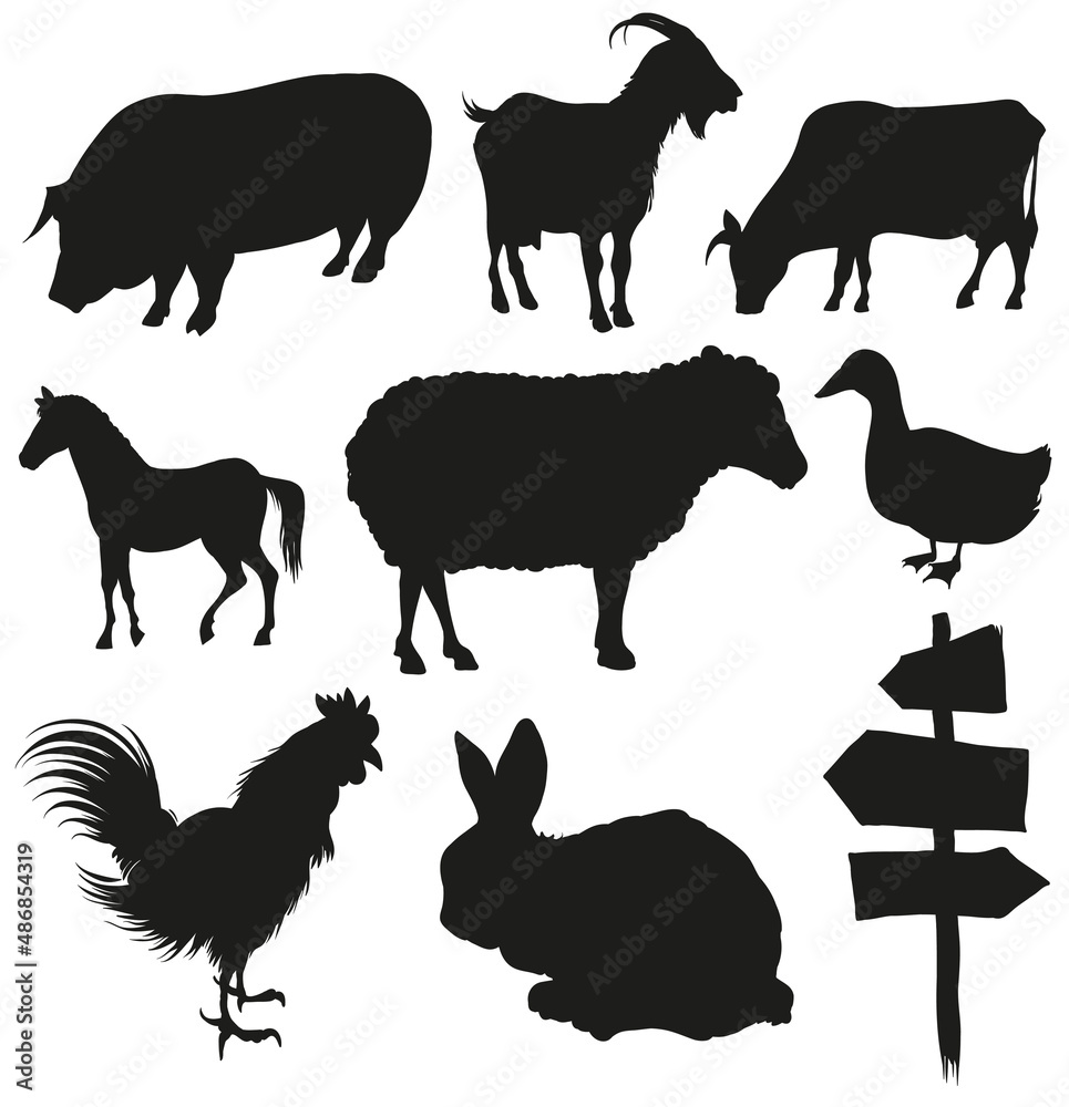 Set of farm animals isolated on a white backgrounds