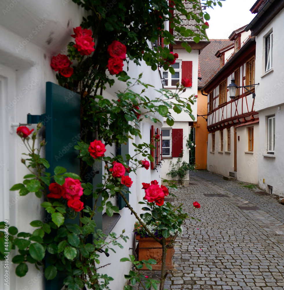 A beautiful quaint old Bavarian town of Guenzburg with red roses clinging to the white historic houses (Germany) A beautiful quaint old Bavarian town of Guenzburg with red roses clinging to the white historic houses (Germany)
