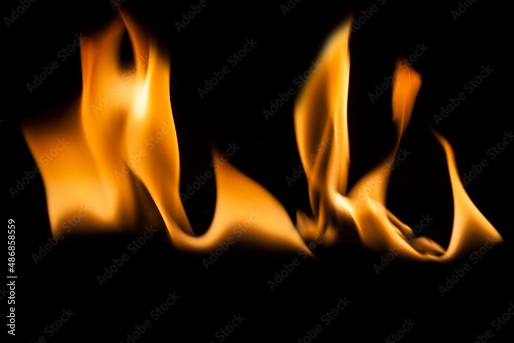 Fire flames on black background. Fire flames on black background.