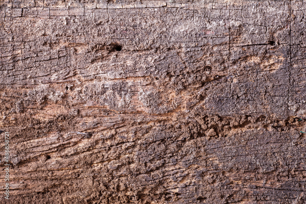 old wood background. old wood background.