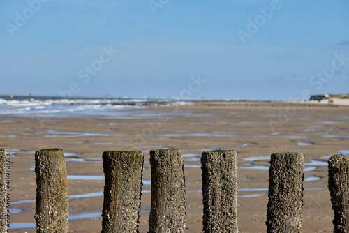 Wooden posts in the North Sea during the winter season in Cadzand
