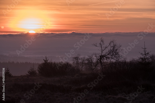 Hohes Venn hautes Fagnes nebel sonnenaufgang schnee winter