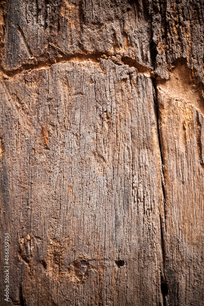 Obraz premium Texture old wood background.