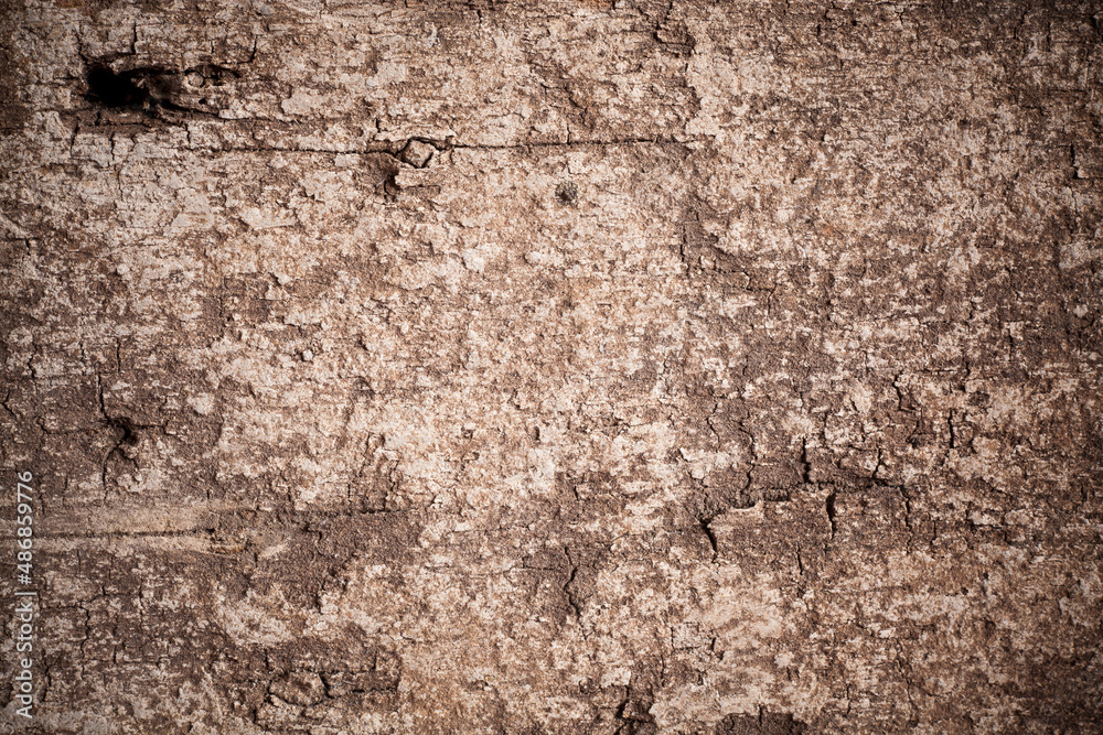 Obraz premium Texture old wood background.