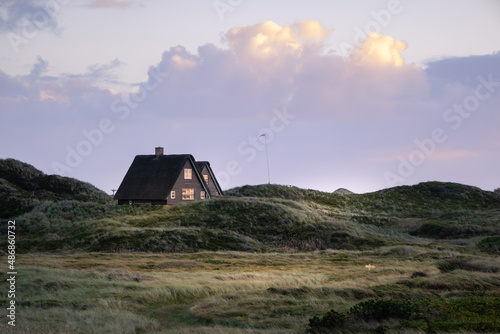 Dänemark Henne Strand Hütte hygge Haus  Dünengras  photo