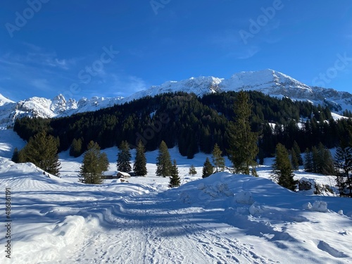 Fototapeta Naklejka Na Ścianę i Meble -  Local mountain road under fresh snow winter cover in a gentle alpine valley at the foot of the Alpstein mountain in the Appenzell Alps massif - Switzerland (Schweiz)