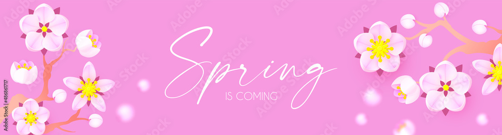 Spring is comming. Cute flower design. Apple tree and sakura blossom Spring is comming. Cute flower design. Apple tree and sakura blossom