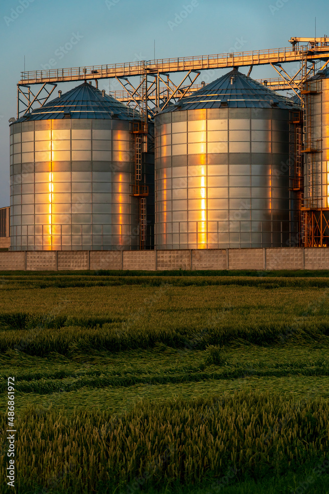 A large modern plant located near a wheat field for the storage and processing of grain crops. view of the granary illuminated by the light of the setting sun against the blue sky. harvest season.