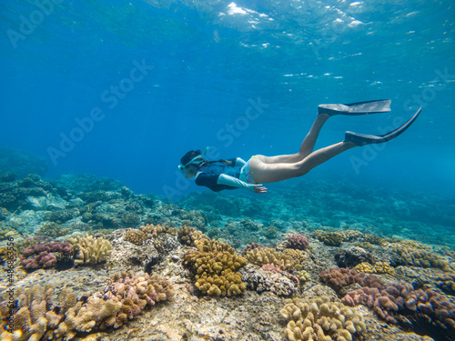 Underwater photography of a woman snorkeling above a coral reef, Reunion Island, Indian ocean, France. photo