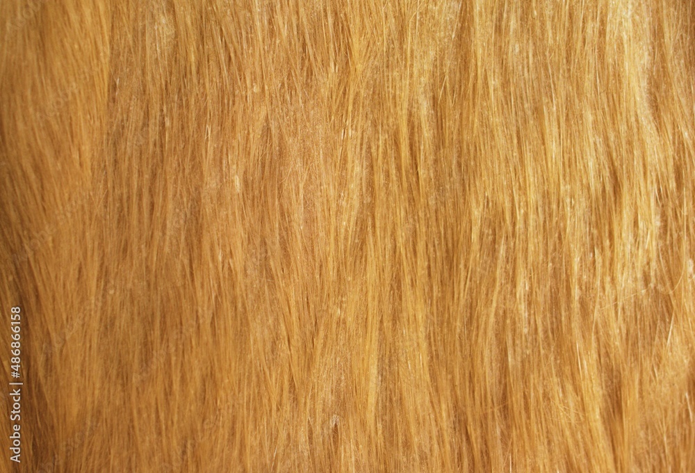 Naklejka premium Beautiful abstract close-up brown fur texture background