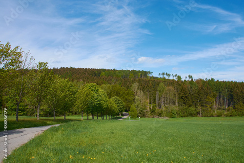 Sohland an der Spree im Frühjahr