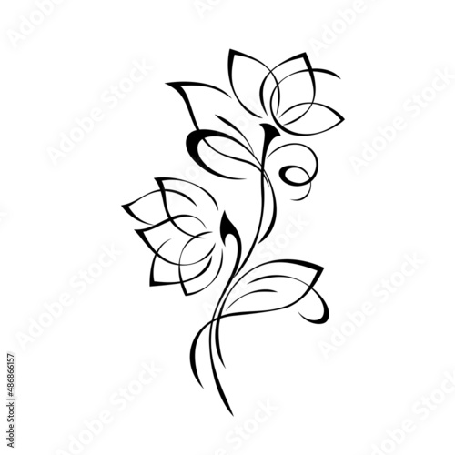 ornament 2214. two stylized blossoming flowers on stems with leaves and curls. graphic decor