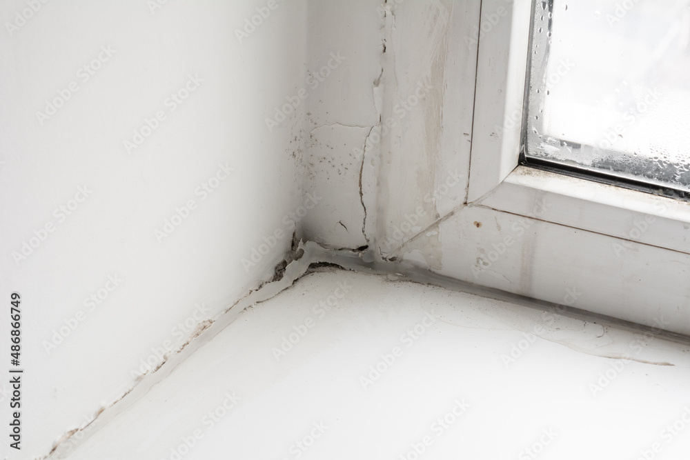 Poor Window Poor quality windows. Due to poor ventilation, poor-quality ...