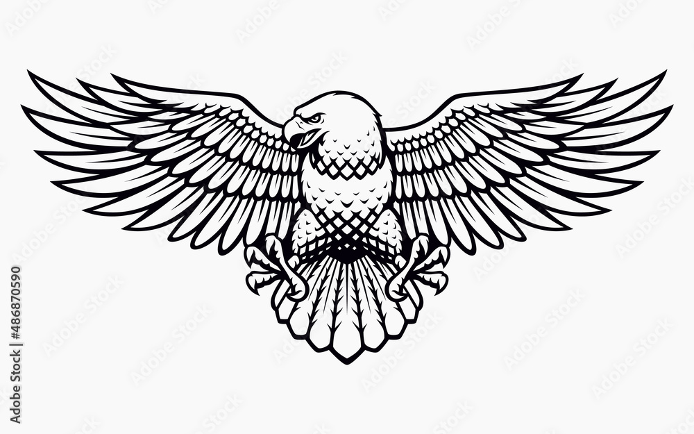 Obraz premium American Eagle Vector Illustration