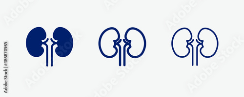 Kidney, organ, medical icon vector set photo
