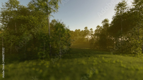 Birches and grass on river banks on a misty morning. 3D render.