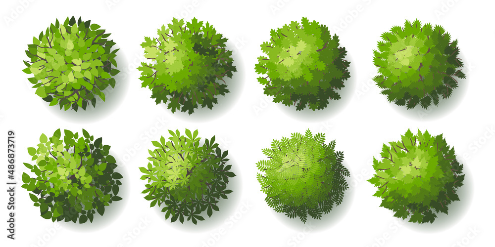 Trees top view. Different plants and trees vector set for architectural or landscape design. (View from above) Nature green spaces. - obrazy, fototapety, plakaty 