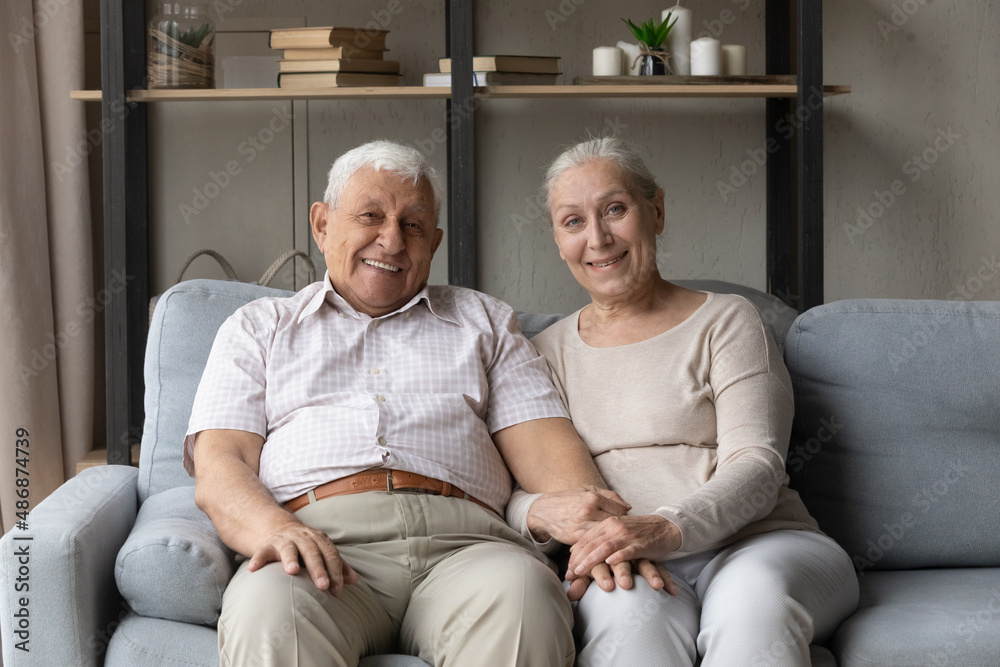 Happy old grey haired family couple resting on couch head shot portrait. Senior husband and wife sitting on sofa together, holding hands, smiling, laughing at camera, webcam, holding video call Happy old grey haired family couple resting on couch head shot portrait. Senior husband and wife sitting on sofa together, holding hands, smiling, laughing at camera, webcam, holding video call