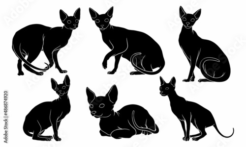 Hand drawn silhouette of sphynx