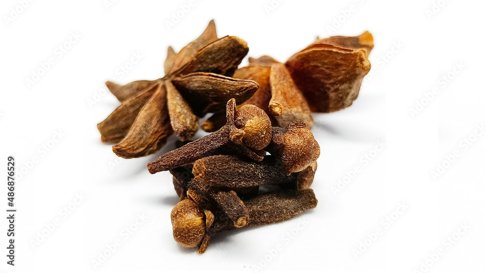Obraz premium Cinnamon, Cloves and Star anise