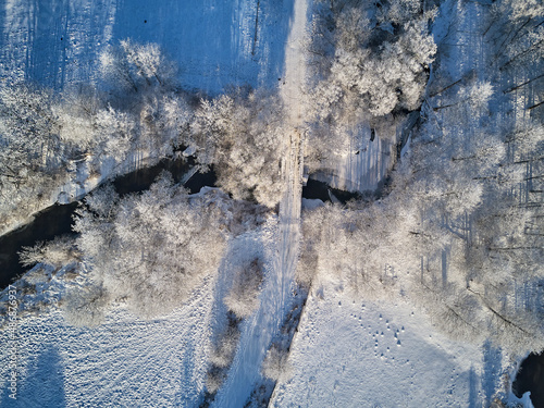 Obraz na płótnie Winter woodland in frost top aerial view. Trees on riverbank. Small creek in forest. Rural dirt road. Snow covered field landscape. Cold weather. Season sunny specific weather w salonie