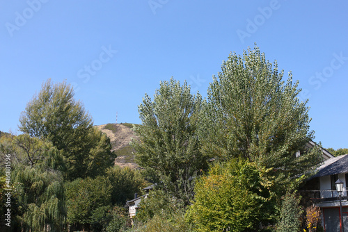 Tree Landscape in Rihonor de Castilla photo