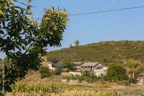 Branch in the foreground over the village in the background in Rihonor de Castilla, Spain photo