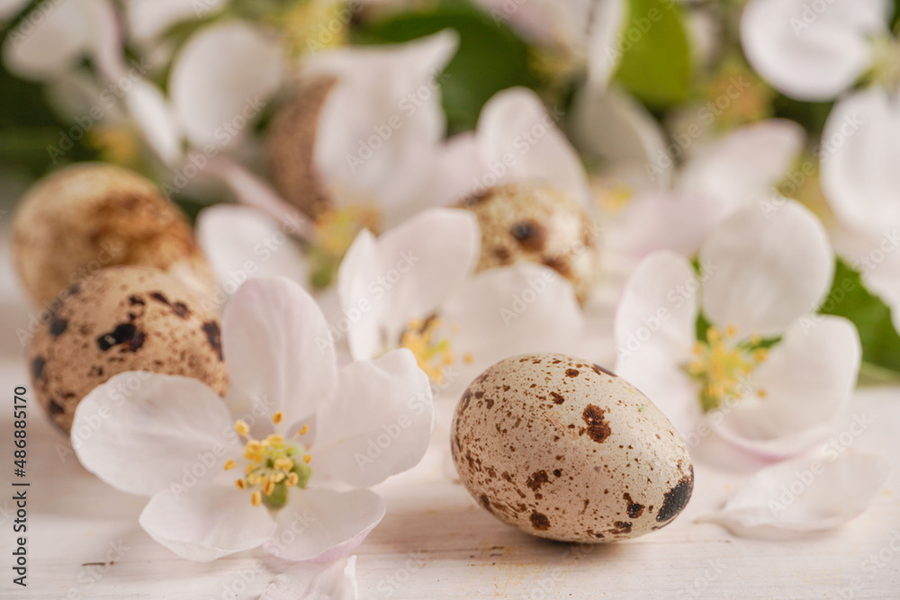 White spring blossoming tree and Easter eggs with white rustic wooden background. Beautiful spring cherry flowers. Easter greeting card. Easter concept.Copy space. White spring blossoming tree and Easter eggs with white rustic wooden background. Beautiful spring cherry flowers. Easter greeting card. Easter concept.Copy space.