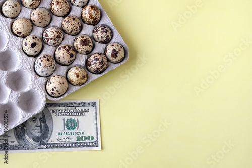 quail eggs in cardboard packaging on yellow background for sale to client and money, dollars. Top view. Business of quail breeding, poultry farming. Healthy food, diet. Copy space