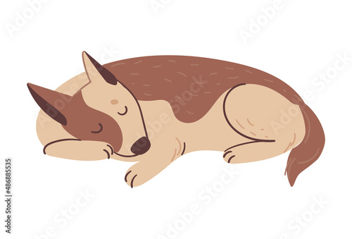 The dog is sleeping. Spotted fluffy dog. Vector illustration in a flat style.